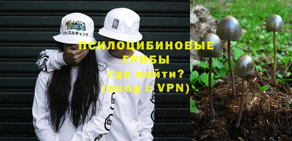 mdpv Кулебаки