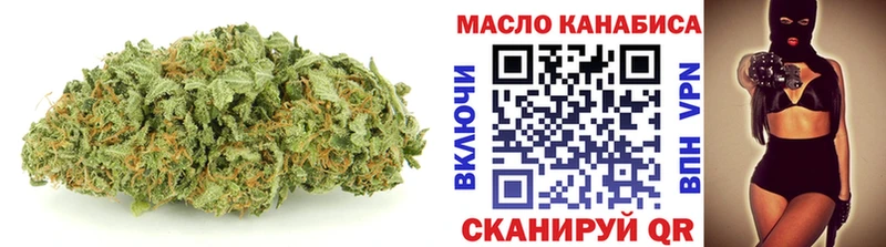 как найти   Сясьстрой  ТГК THC oil 